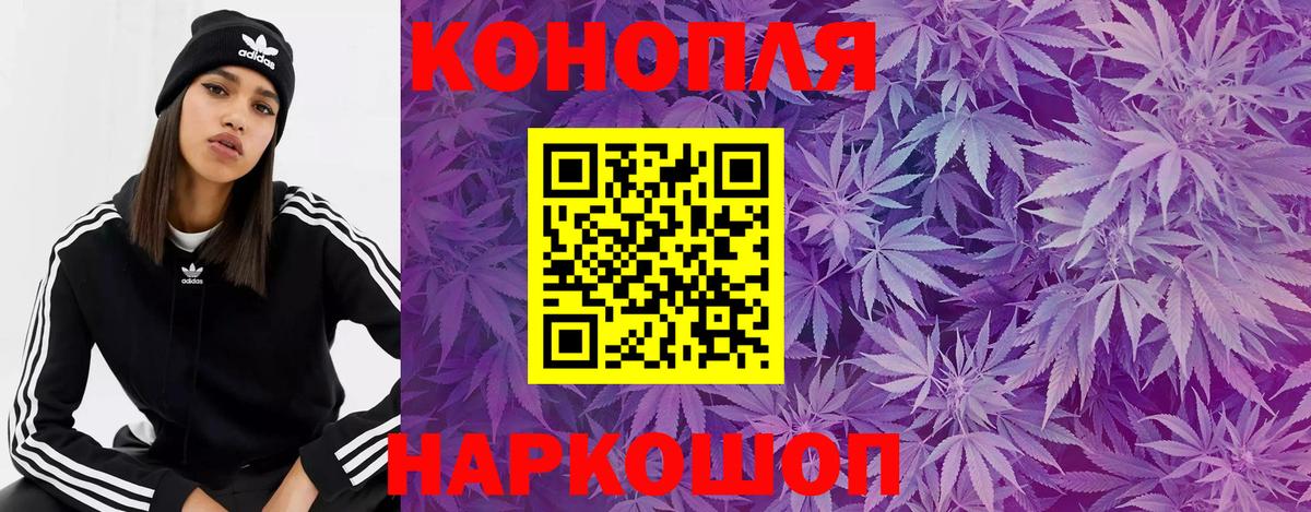 Каннабис SATIVA & INDICA Карталы